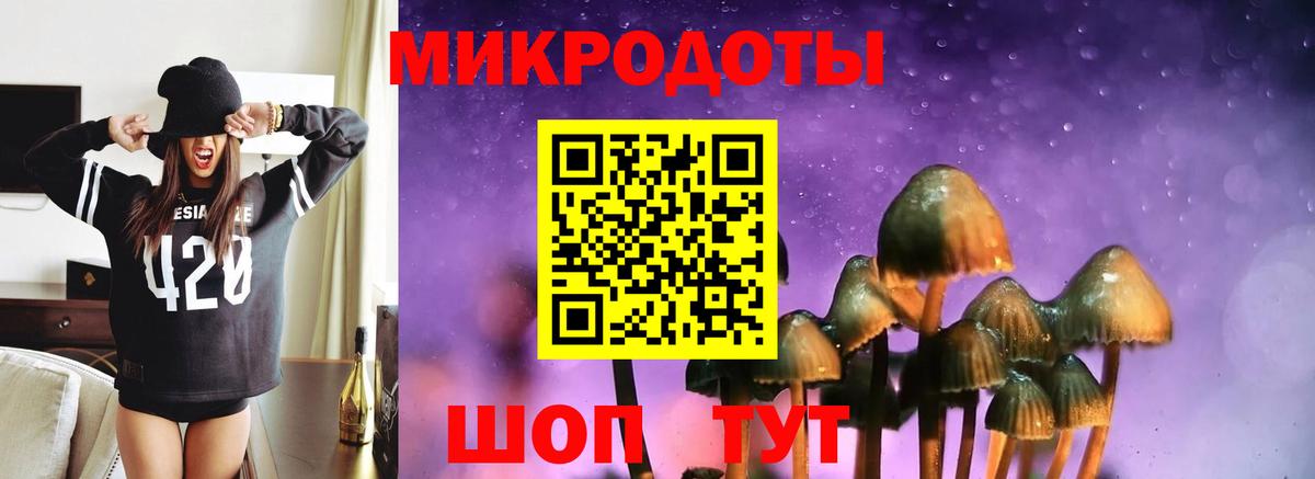 даркнет сайт  Псилоцибиновые грибы мицелий  Вход с VPN  Галлюциногенные грибы мухоморы  Отрадный 